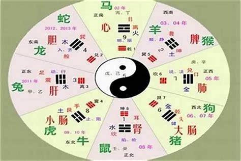 恺五行|恺字的五行属性